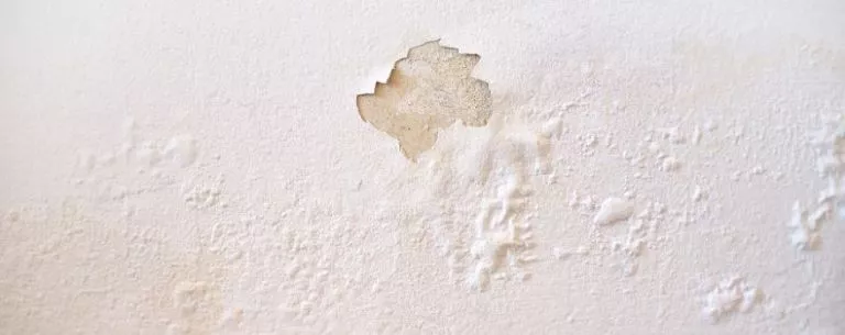 Wall with moisture