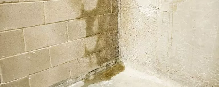 Wall corner with moisture